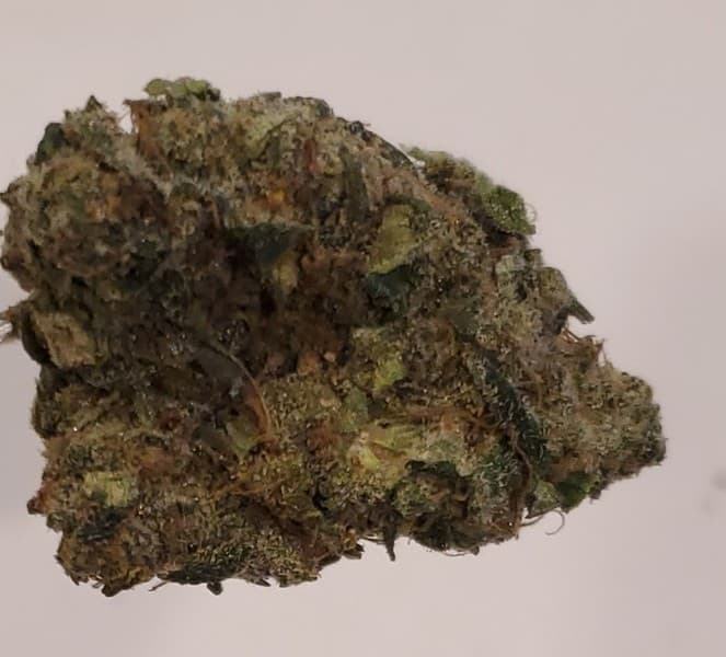 Lava Cake cannabis strain, community photo 4