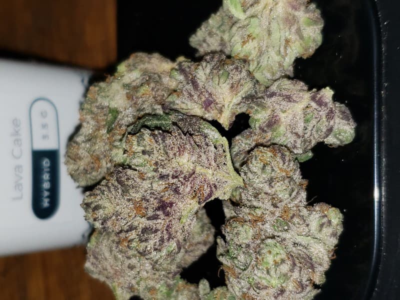 Lava Cake cannabis strain, community photo 6