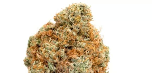 Lava Cake cannabis strain, community photo 8