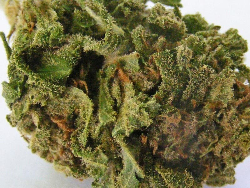 Lavender cannabis strain, community photo 2