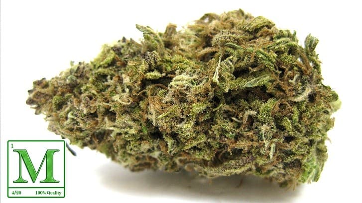 Lavender cannabis strain, community photo 3
