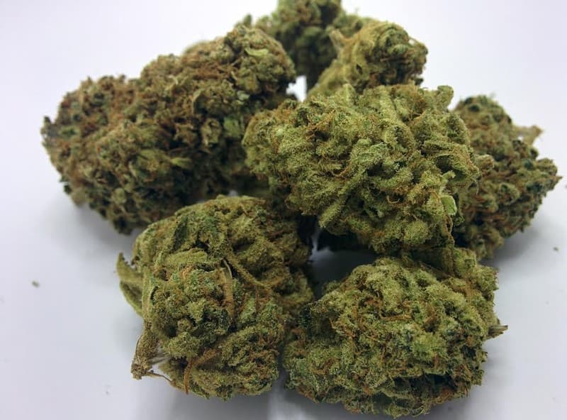 Lavender cannabis strain, community photo 4