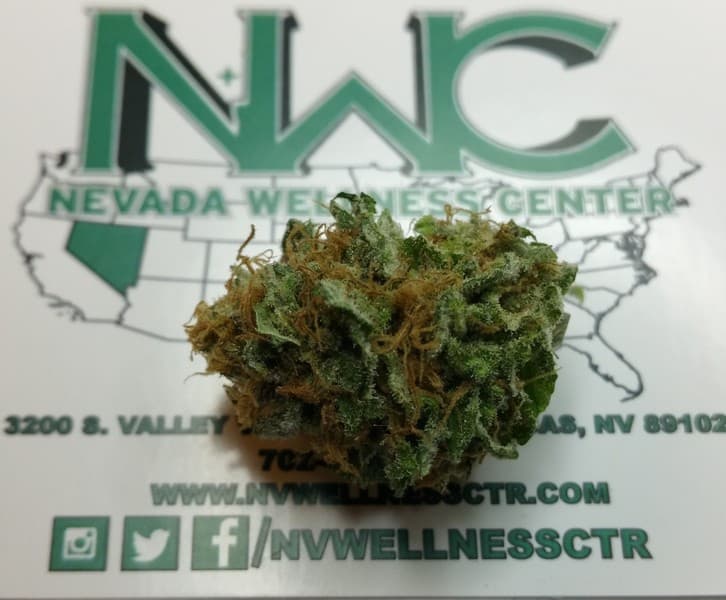 Lavender cannabis strain, community photo 5