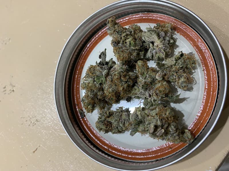 Layer Cake cannabis strain, community photo 3