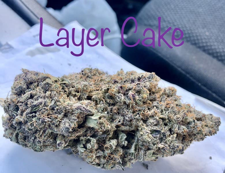 Layer Cake cannabis strain, community photo 4