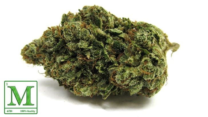 Legend OG cannabis strain, community photo 3