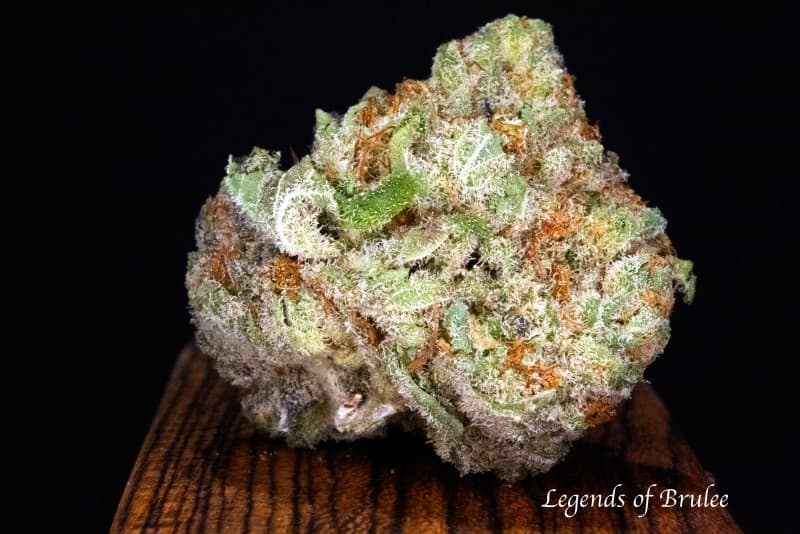 Legend OG cannabis strain, community photo 5