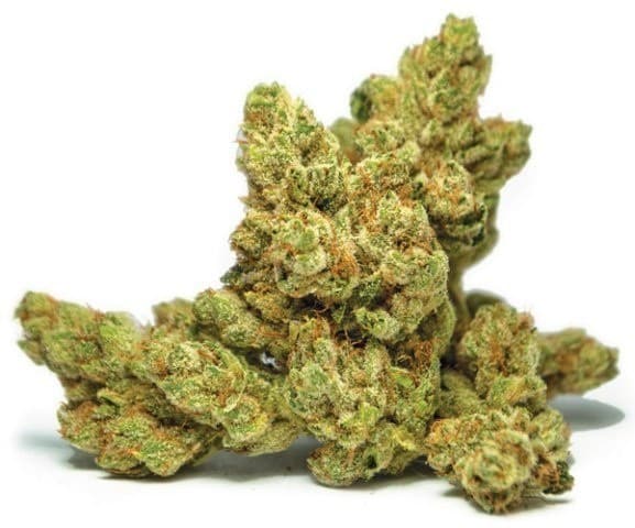 Legend OG cannabis strain, community photo 6