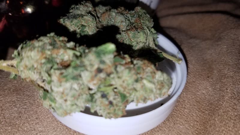 Legend OG cannabis strain, community photo 8