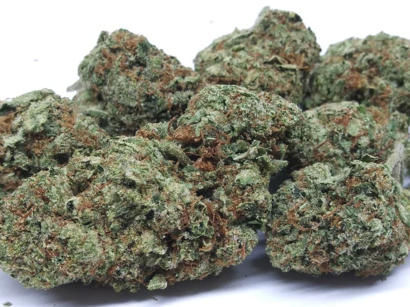 Lemon Cake cannabis strain, community photo 3
