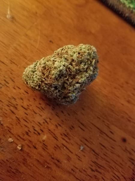 Lemon Drop cannabis strain, community photo 1