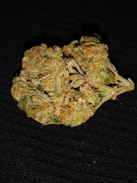 Lemon Drop cannabis strain, community photo 2