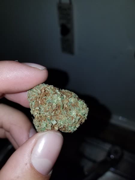 Lemon Drop cannabis strain, community photo 3