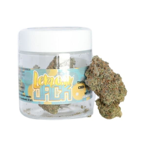 Lemon Jack cannabis strain, community photo 1
