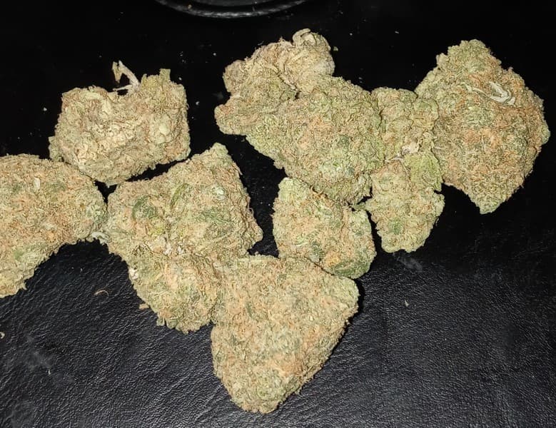 Lemon Jack cannabis strain, community photo 4