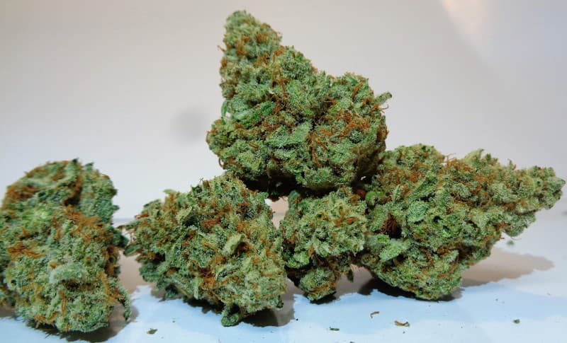 Lemon Kush cannabis strain, community photo 1