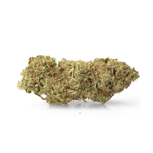 Lemon Kush cannabis strain, community photo 3