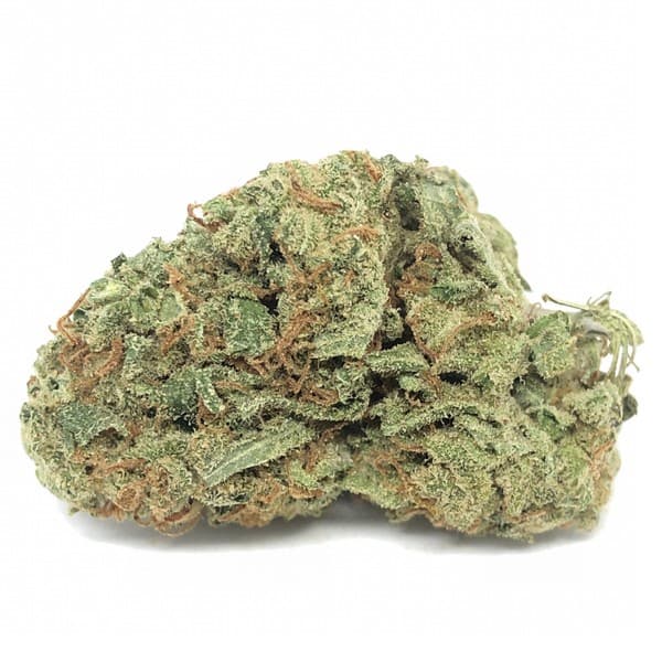 Lemon Kush cannabis strain, community photo 4
