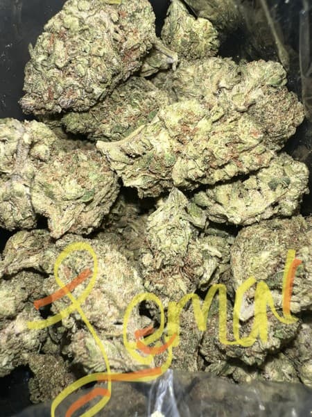 Lemon Lava cannabis strain, community photo 3