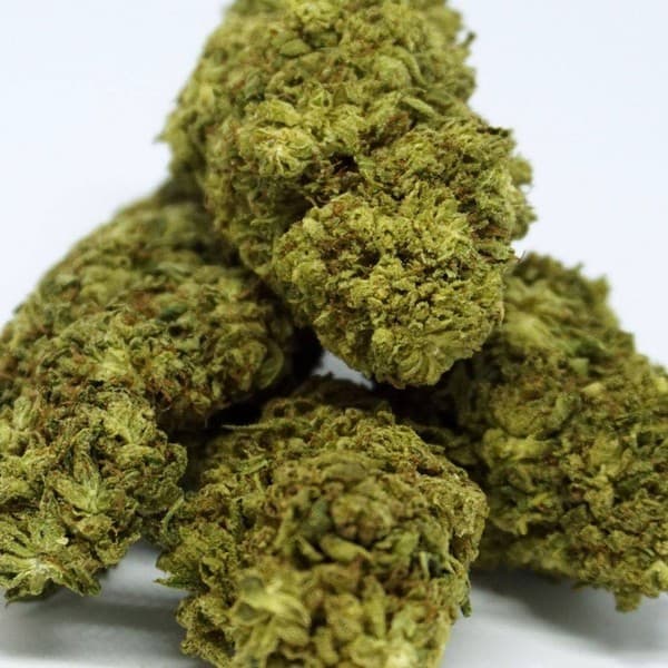 Lemon OG cannabis strain, community photo 1