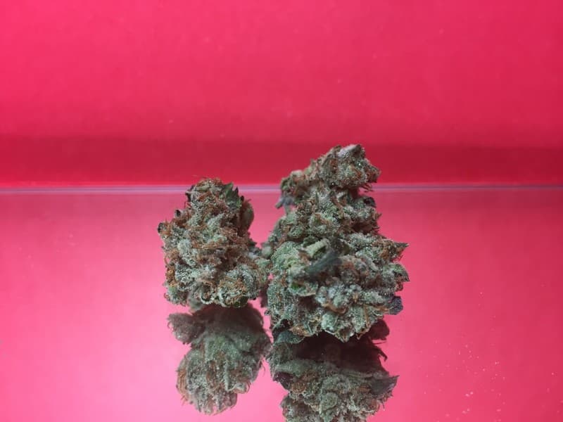 Lemon OG cannabis strain, community photo 2