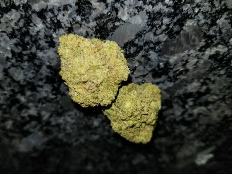 Lemon OG cannabis strain, community photo 3