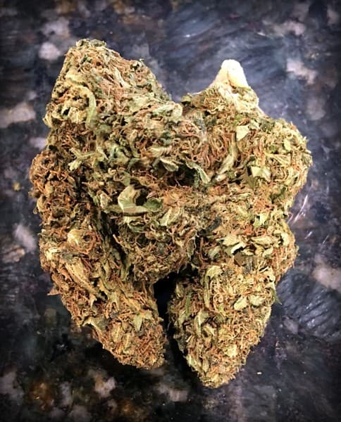 Lemon OG cannabis strain, community photo 4