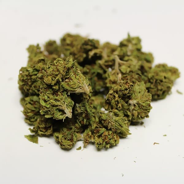 Lemon OG cannabis strain, community photo 5