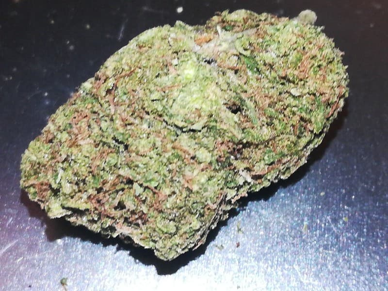 Lemon OG cannabis strain, community photo 6