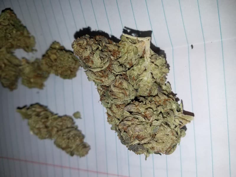 Lemon OG cannabis strain, community photo 7
