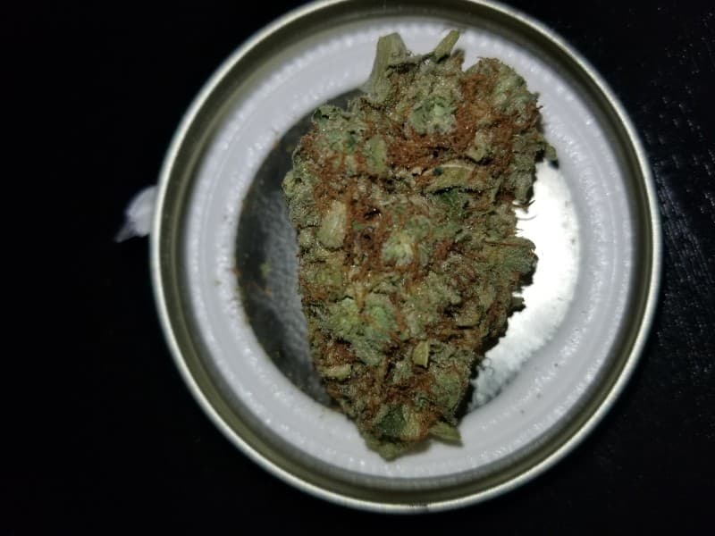 Lemon OG cannabis strain, community photo 8