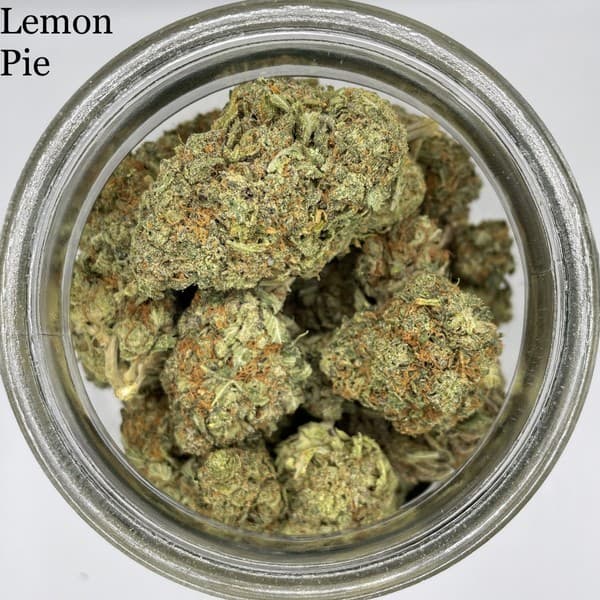 Lemon Pie cannabis strain, community photo 1