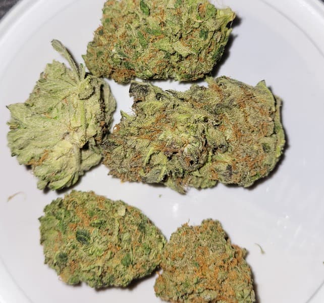 Lemon Pie cannabis strain, community photo 2