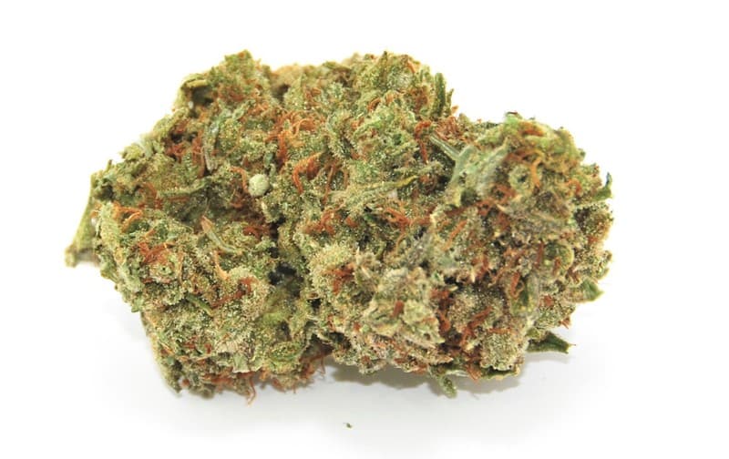 Lemon Skunk cannabis strain, community photo 4