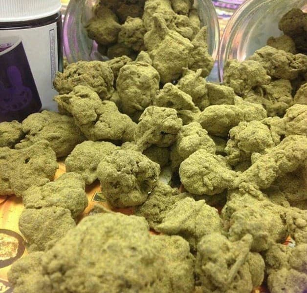 Lemon Skunk cannabis strain, community photo 5