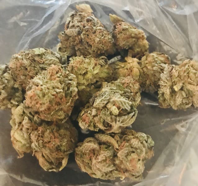Lemon Skunk cannabis strain, community photo 6