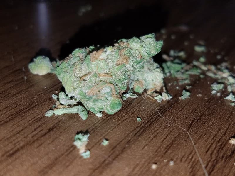 Lemon Skunk cannabis strain, community photo 9