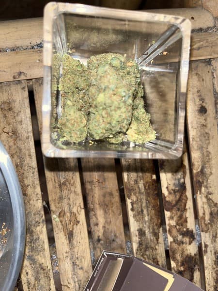 Lemon Tart cannabis strain, community photo 3