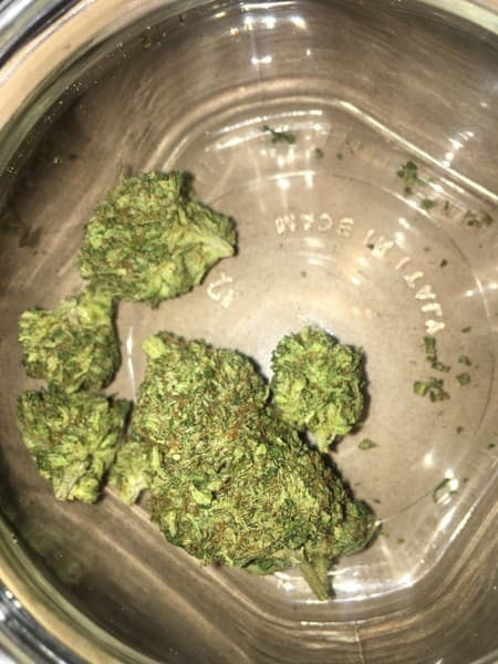 Lemon Tree cannabis strain, community photo 10