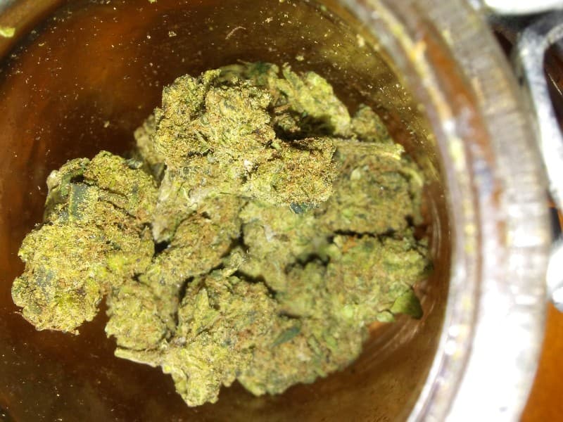 Lemon Tree cannabis strain, community photo 2