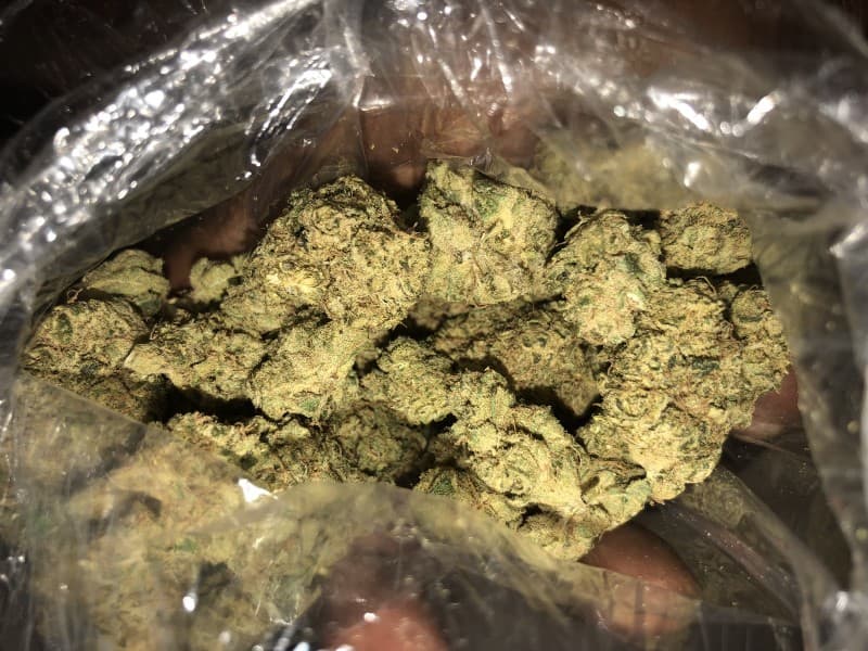 Lemon Tree cannabis strain, community photo 7