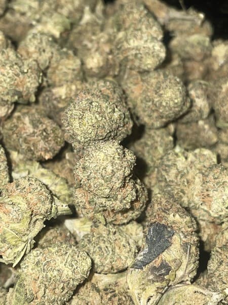 Lemon Zest cannabis strain, community photo 1