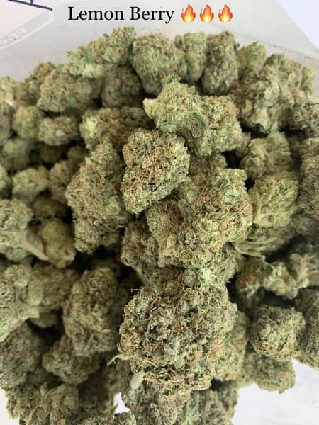 Lemonberry cannabis strain, community photo 1