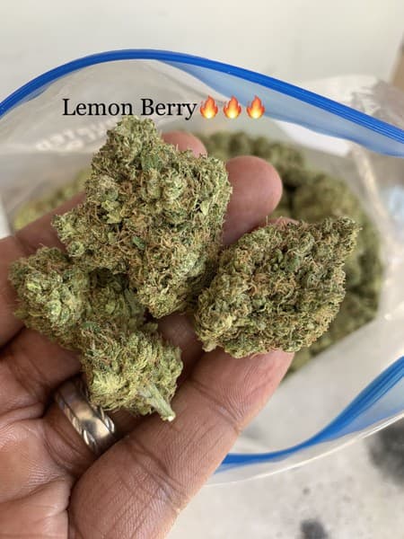 Lemonberry cannabis strain, community photo 2