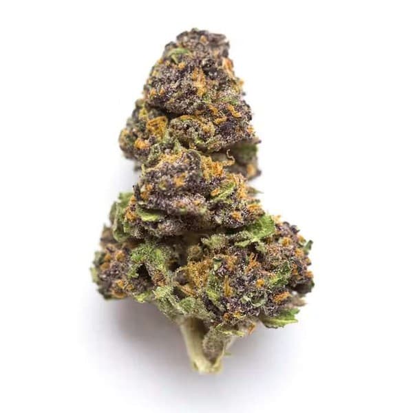 Limoncello cannabis strain, community photo 1