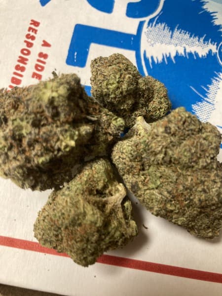 Limoncello cannabis strain, community photo 4