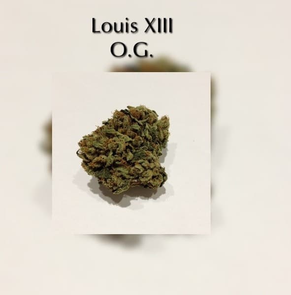 Louis XIII cannabis strain, community photo 2
