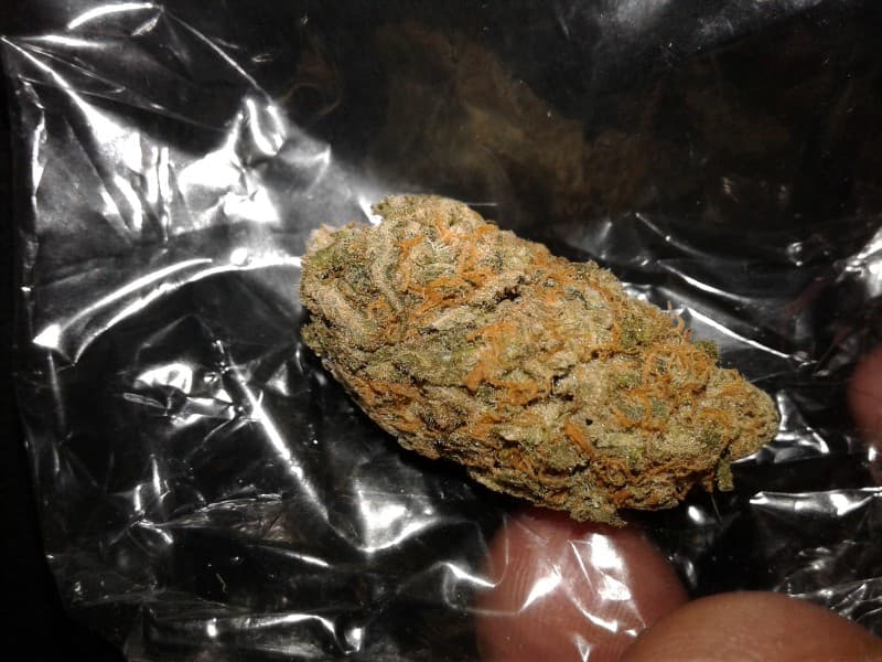 LSD cannabis strain, community photo 3