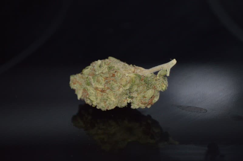 LSD cannabis strain, community photo 4
