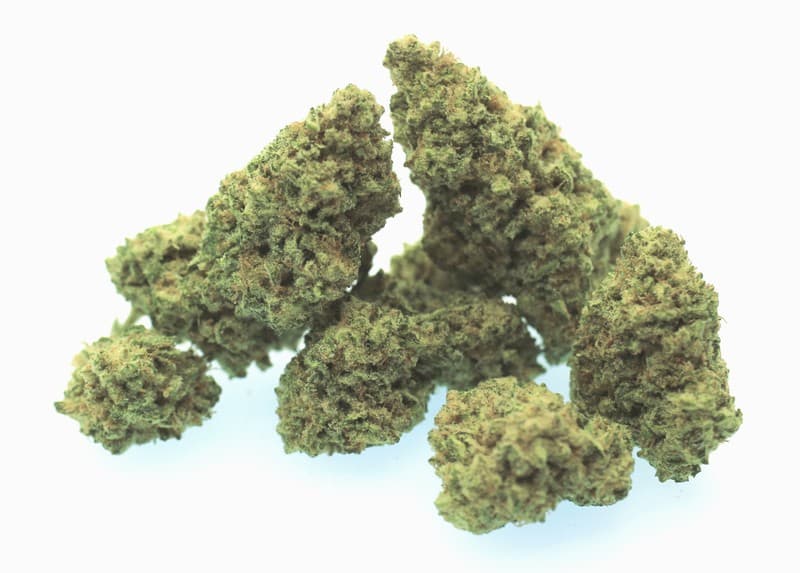 MAC cannabis strain, community photo 3